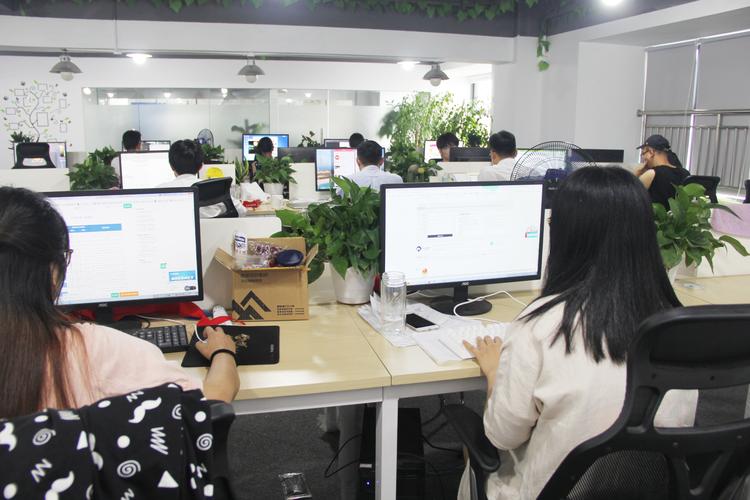 杭州启翔网络科技 数字化浪潮中的匠心与远见