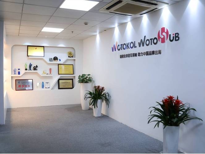卧兔领航,品牌出海,智启世界新篇